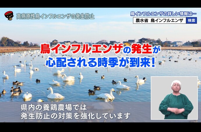 今週の番組の画像