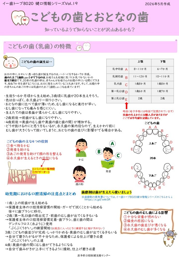 こどもの歯とおとなの歯（表）