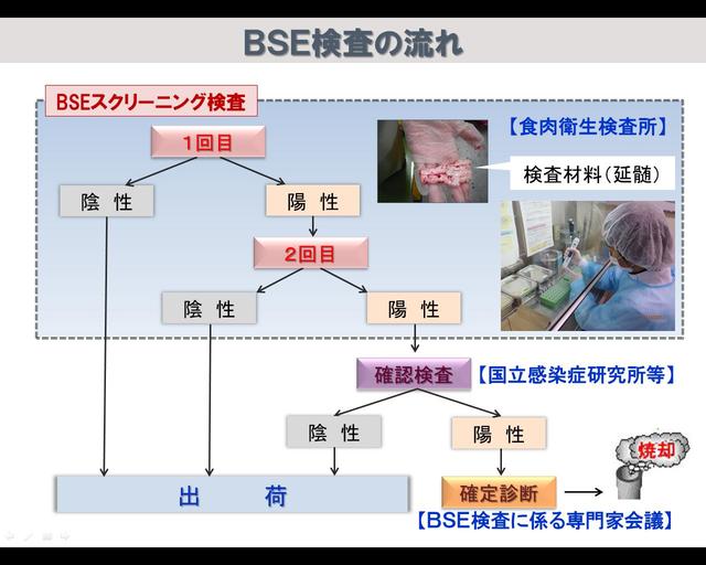 BSE検査フロー図