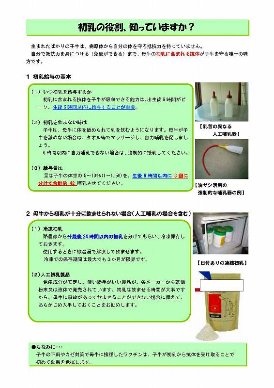 初乳の役割、知っていますか？説明チラシ