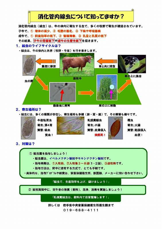 消化管内線虫について知ってますか？チラシ