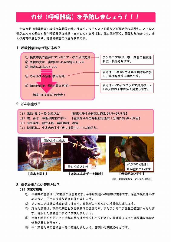 カゼ（呼吸器病）を予防しましょうのチラシ1