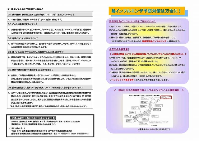 鳥インフルエンザQ＆Aのチラシ