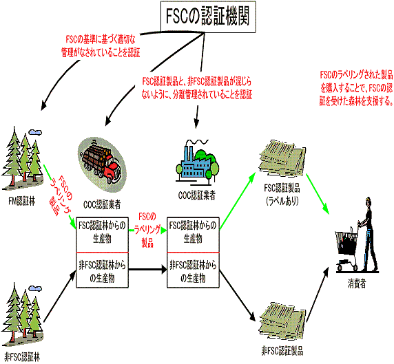 フロー図：森林認証制度のしくみの流れ