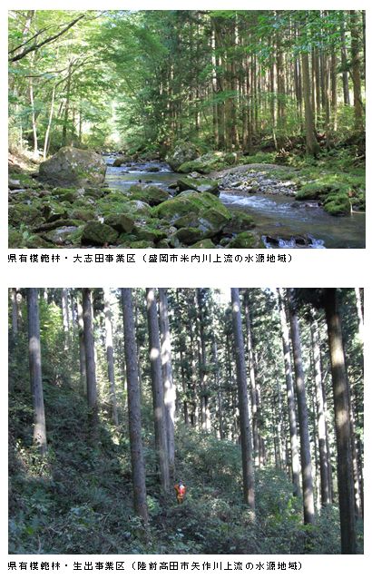 県有模範林の写真