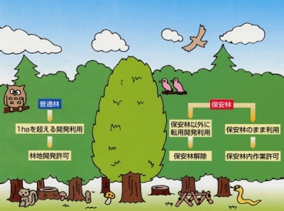 保安林制度と林地開発許可制度イメージ図