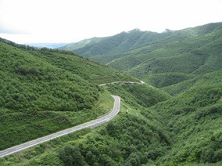 八戸川内線全景の写真