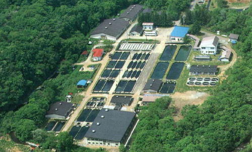 岩手県内水面水産技術センター全体写真