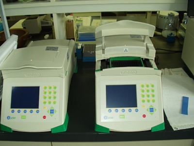 PCRの写真
