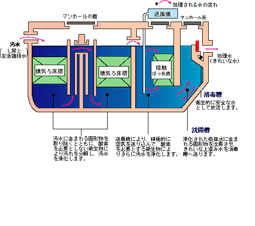 処理される水の流れ図