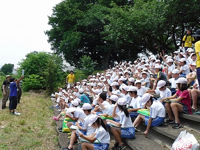 平成30年6月26日　中野小学校　簗川いきもの調査の写真2