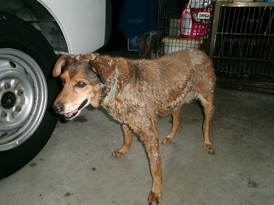 inu202609149-1