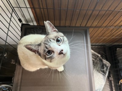 パールちゃん