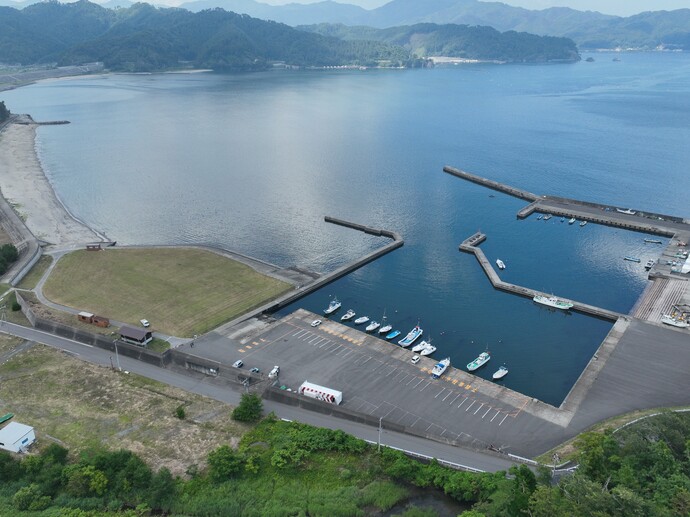 航空写真
