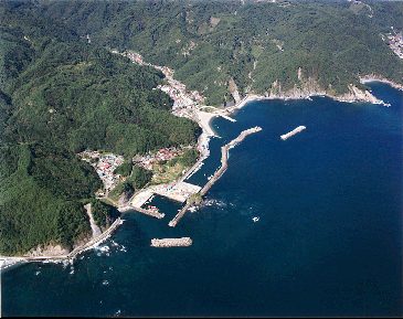 島の越漁港の航空写真