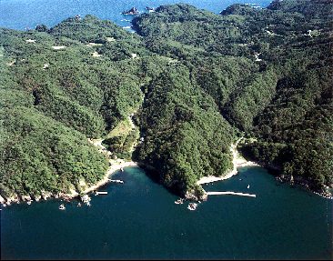 浦の沢漁港の航空写真