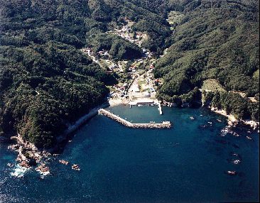 石浜漁港の航空写真