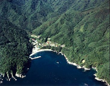 川代漁港の航空写真