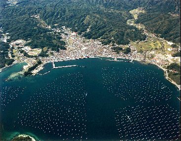 山田漁港の航空写真
