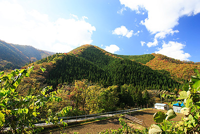 写真:義経_判官山