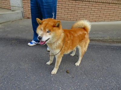 あ