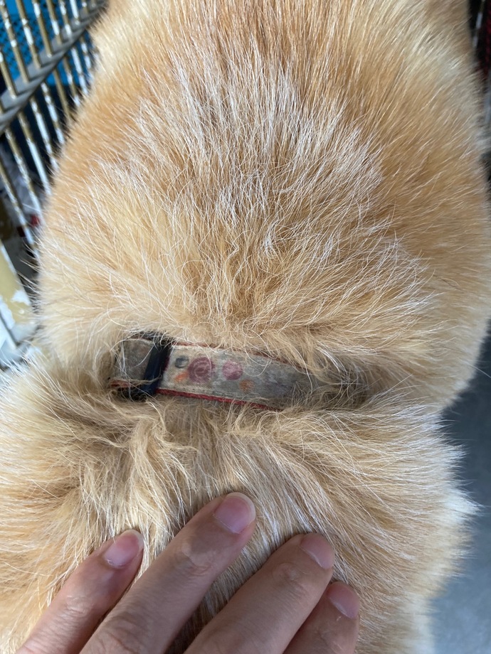 あ