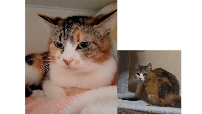 あ