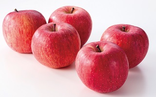 りんご「ふじ」の写真
