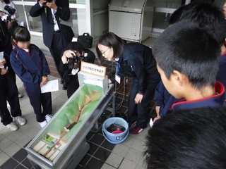 写真：模型実験の様子