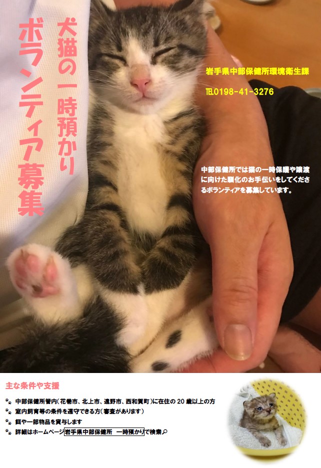 募集ポスター