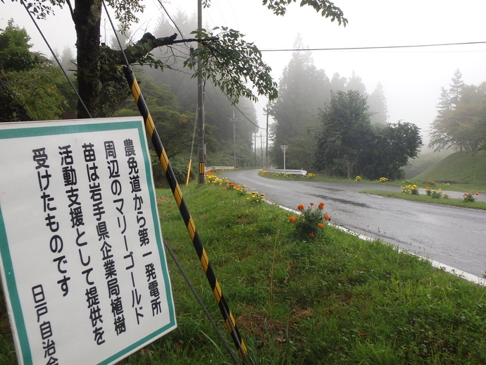 植栽活動2ヶ月後の岩洞第一発電所付近2（写真）