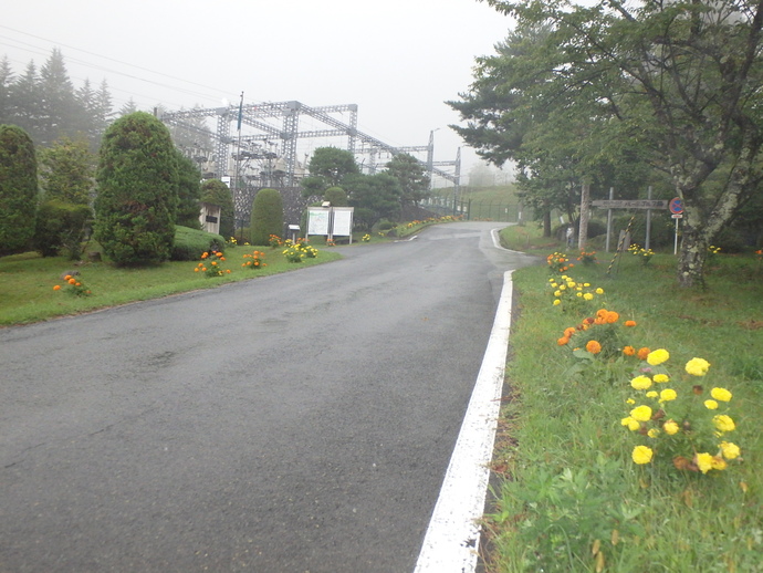 植栽活動2ヶ月後の岩洞第一発電所付近1（写真）