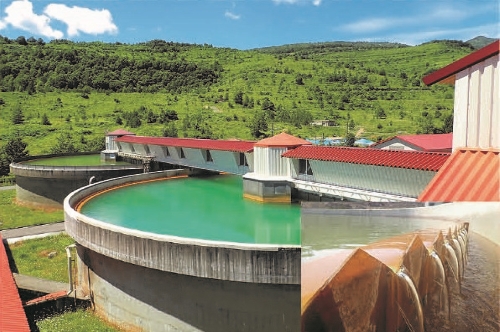 写真：固液分離槽