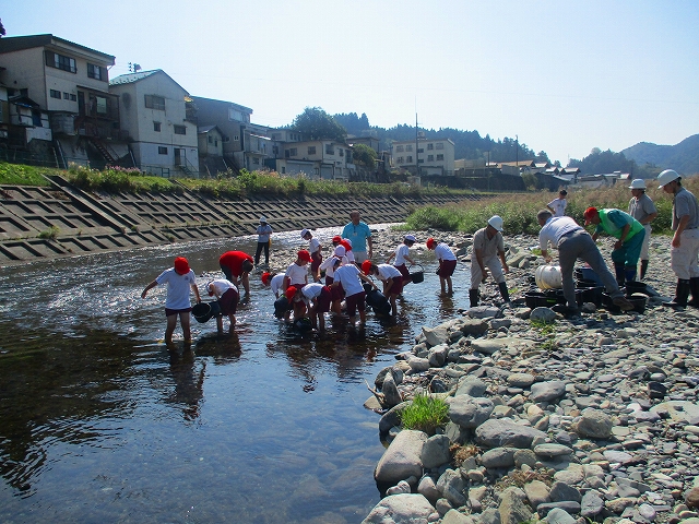 写真：稚魚放流