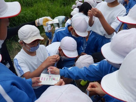 令和2年6月25日　中野小学校　水質調査を実施