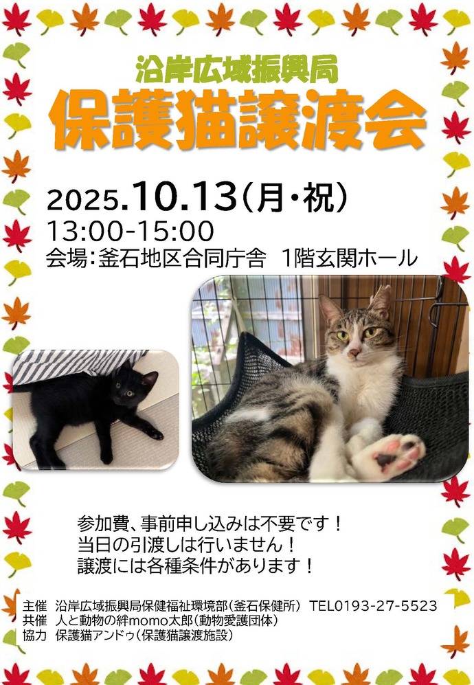 ちらし