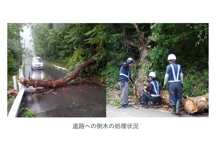 道路の倒木処理状況