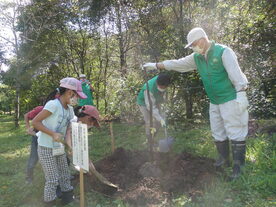 豊沢川の森・市民植樹祭の写真