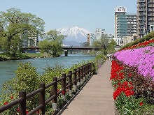 盛岡市、開運橋の大通り側たもとから見る岩手山と北上川、そして春の開運橋花壇の景観