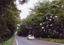滝沢村巣子分れから見る282号線北方の景観
