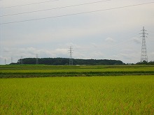 紫波町陣ヶ岡字沢田付近から見る田圃の景観