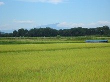 紫波町日詰上新田の町道から見る水田と岩手山の景観