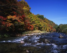 雫石町橋場国道46号から見る舟原の紅葉の景観