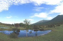 八幡平市安比高原のブナの駅付近から見る中の牧場の池塘の景観