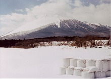 八幡平市(旧西根町焼走りの湯へ行く途中)から見る春まだ浅き岩手山の景観