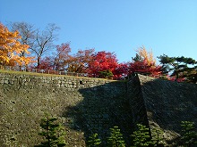 盛岡市内丸　下の橋側から見る岩手公園石垣の紅葉の景観
