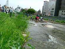 盛岡市中津川　中の橋下流提外地から見る流れの中で遊ぶ親子の景観