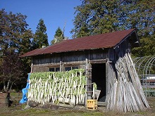 西和賀町沢内字猿橋　和左内の一番奥から見る毎年小屋の壁に干される大根（10月20日頃）の景観
