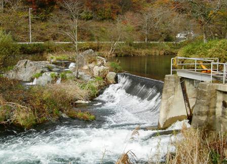 河川の写真2