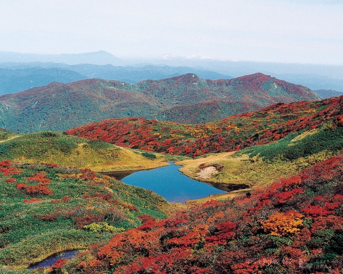 Weitläufige und reichhaltige Natur